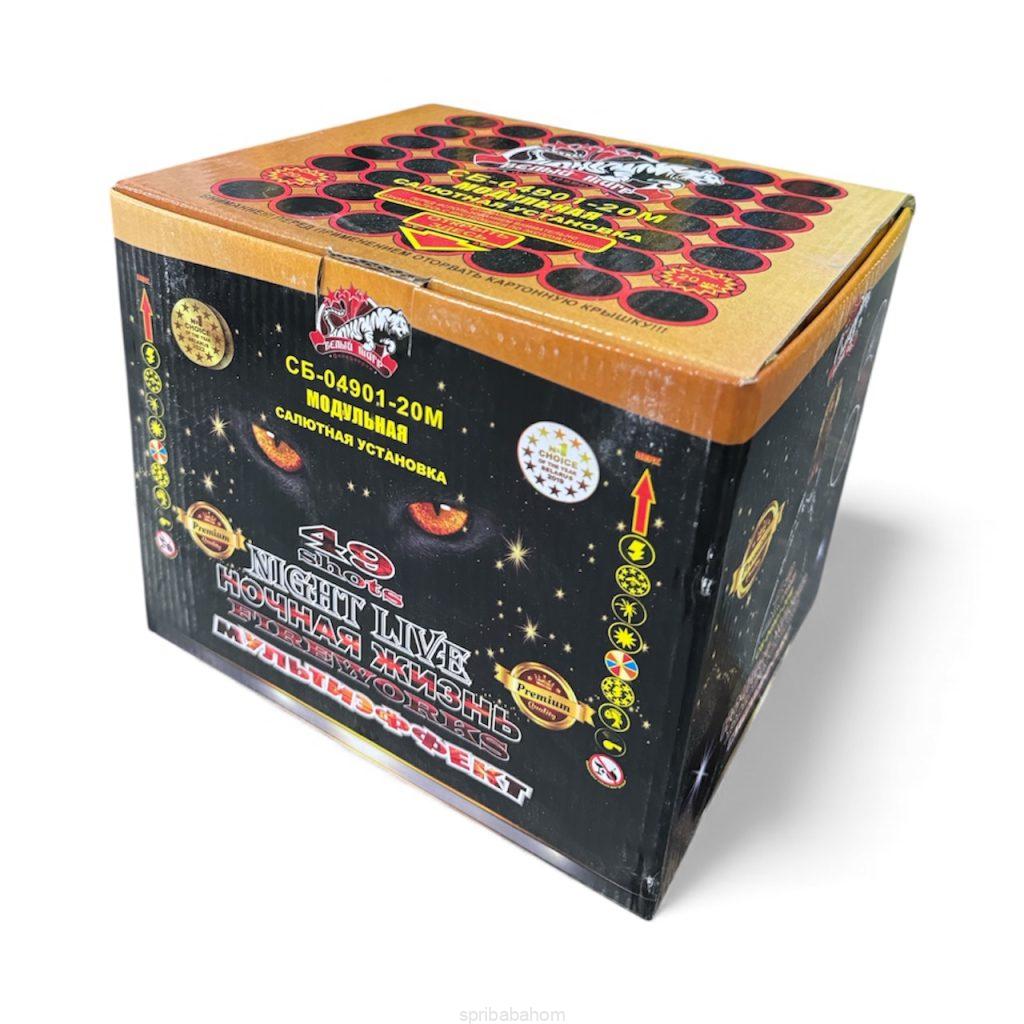 Купить Ночная жизнь (СБ-04901-20М)